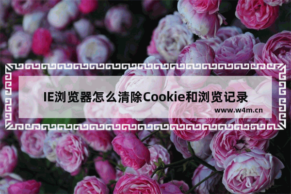 IE浏览器怎么清除Cookie和浏览记录