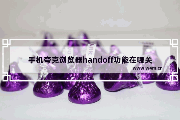 手机夸克浏览器handoff功能在哪关