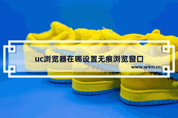 uc浏览器在哪设置无痕浏览窗口