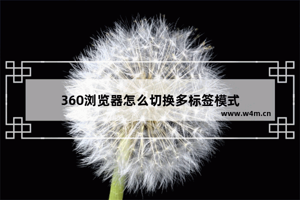 360浏览器怎么切换多标签模式