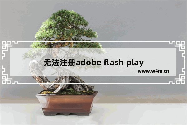 无法注册adobe flash player插件怎么办