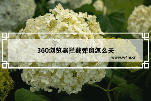 360浏览器拦截弹窗怎么关