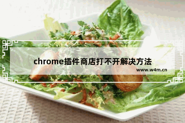 chrome插件商店打不开解决方法