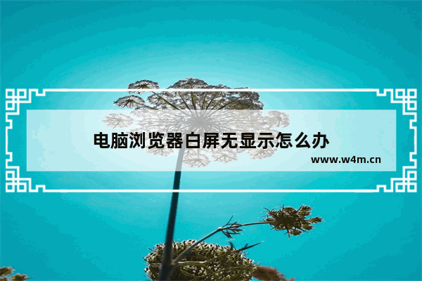 电脑浏览器白屏无显示怎么办