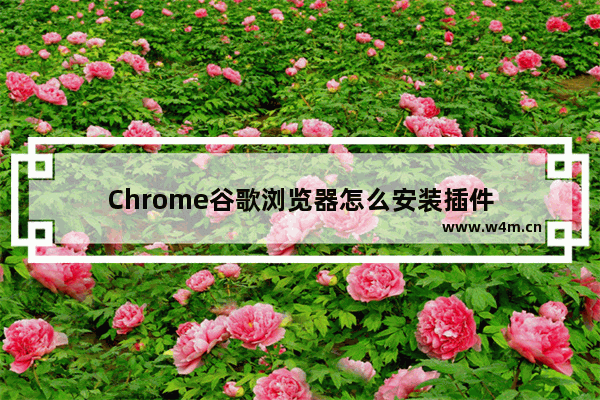 Chrome谷歌浏览器怎么安装插件