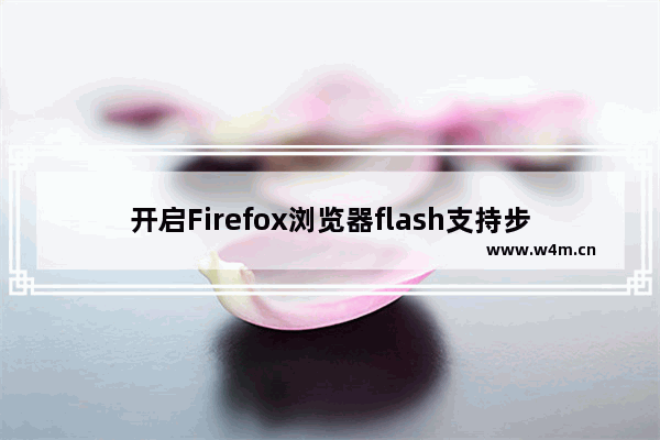 开启Firefox浏览器flash支持步骤分享