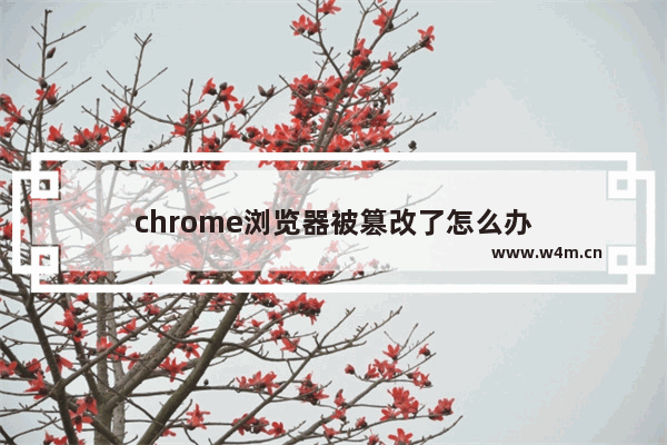 chrome浏览器被篡改了怎么办