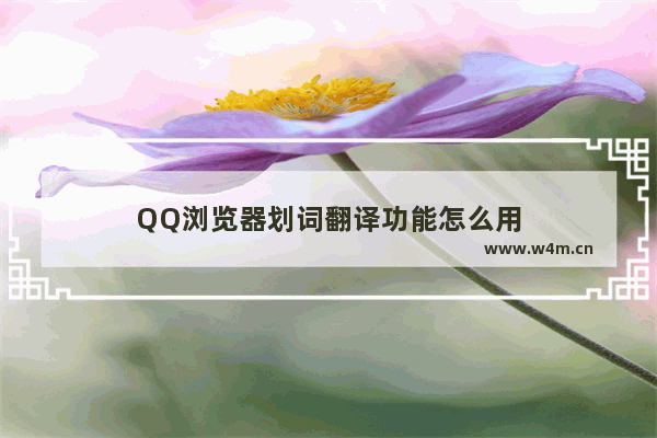 QQ浏览器划词翻译功能怎么用