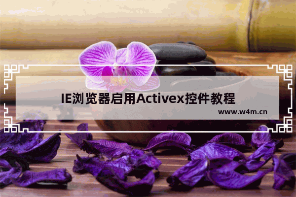 IE浏览器启用Activex控件教程