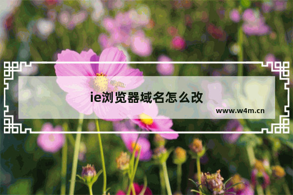 ie浏览器域名怎么改