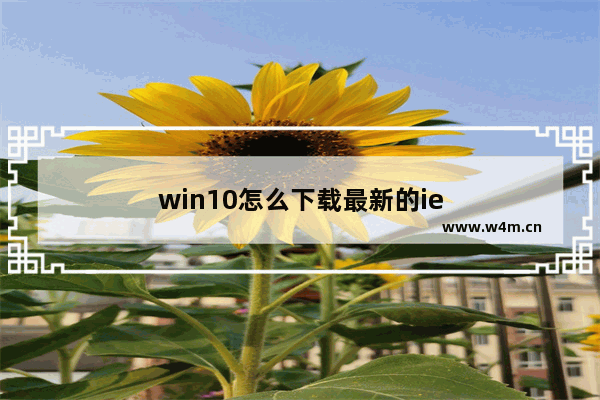 win10怎么下载最新的ie