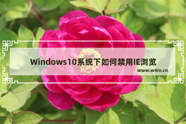 Windows10系统下如何禁用IE浏览器