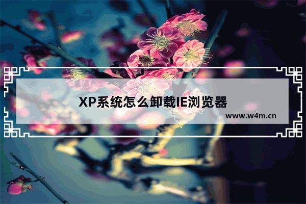 XP系统怎么卸载IE浏览器