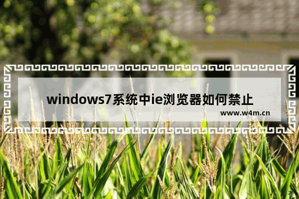 windows7系统中ie浏览器如何禁止使用加载项