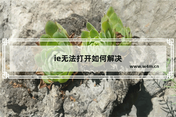 ie无法打开如何解决