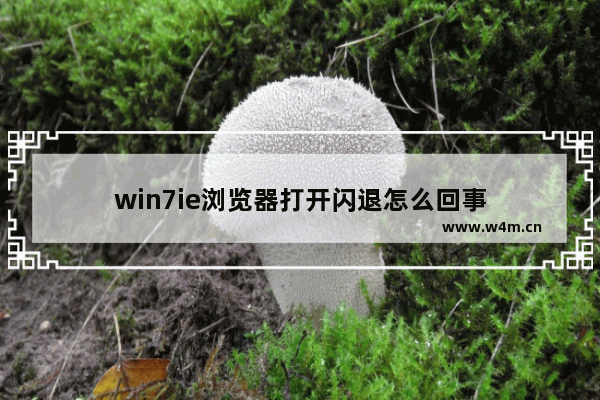 win7ie浏览器打开闪退怎么回事