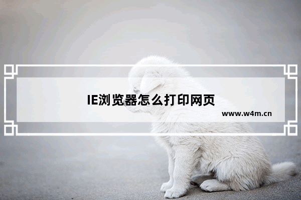 IE浏览器怎么打印网页