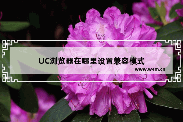 UC浏览器在哪里设置兼容模式