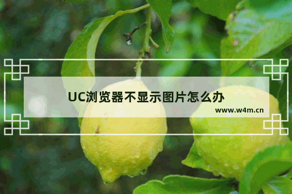 UC浏览器不显示图片怎么办