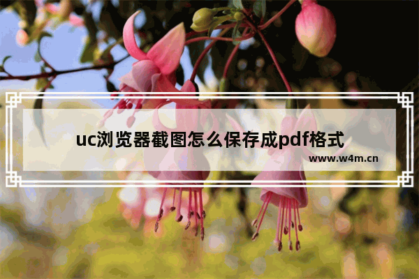 uc浏览器截图怎么保存成pdf格式