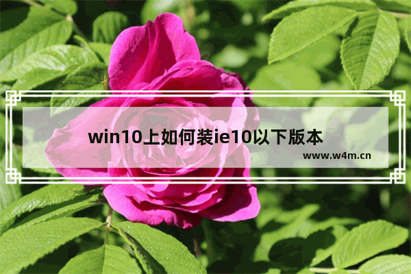 win10上如何装ie10以下版本