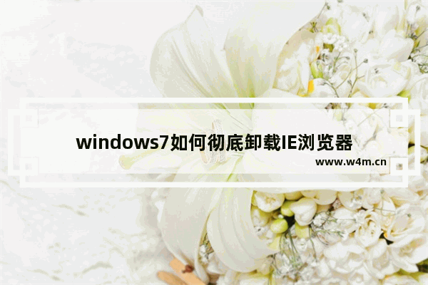 windows7如何彻底卸载IE浏览器