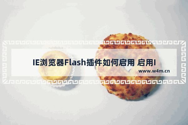 IE浏览器Flash插件如何启用 启用IE浏览器Flash插件方法讲解