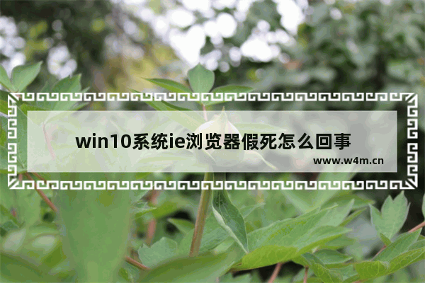 win10系统ie浏览器假死怎么回事