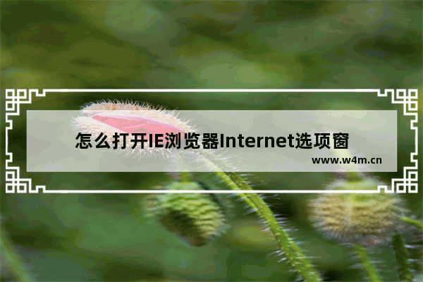 怎么打开IE浏览器Internet选项窗口