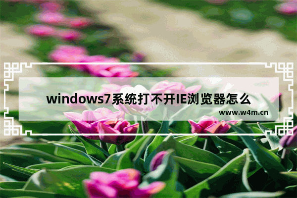 windows7系统打不开IE浏览器怎么回事