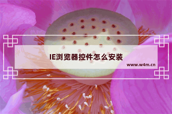 IE浏览器控件怎么安装