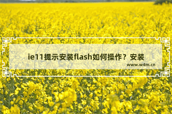 ie11提示安装flash如何操作？安装flash操作技巧分享