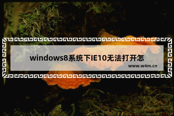 windows8系统下IE10无法打开怎么回事？IE10无法打开的原因说明