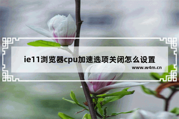 ie11浏览器cpu加速选项关闭怎么设置？cpu加速选项关闭设置技巧分享