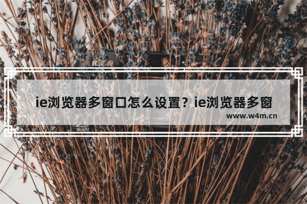 ie浏览器多窗口怎么设置？ie浏览器多窗口设置方法讲解