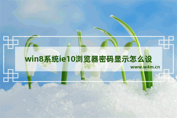 win8系统ie10浏览器密码显示怎么设置？ie10浏览器密码显示设置步骤一览