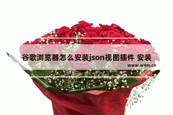 谷歌浏览器怎么安装json视图插件 安装json视图插件方法介绍