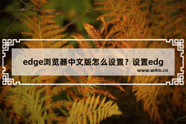 edge浏览器中文版怎么设置？设置edge浏览器中文版的方法讲解