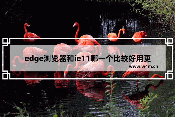 edge浏览器和ie11哪一个比较好用更安全？edge浏览器和ie11对比分析