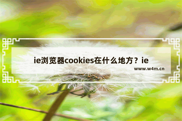 ie浏览器cookies在什么地方？ie浏览器导出cookies方法介绍