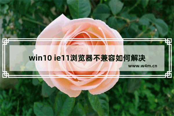 win10 ie11浏览器不兼容如何解决？解决win10 ie11浏览器不兼容的方法说明