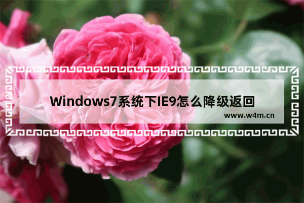 Windows7系统下IE9怎么降级返回IE8？降级返回IE8的操作步骤一览