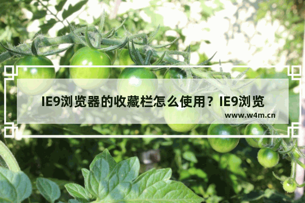 IE9浏览器的收藏栏怎么使用？IE9浏览器的收藏栏使用方法介绍