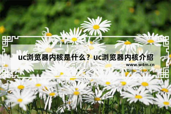 uc浏览器内核是什么？uc浏览器内核介绍