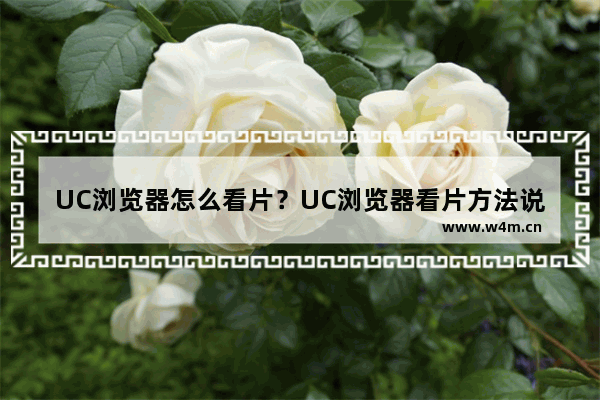 UC浏览器怎么看片？UC浏览器看片方法说明