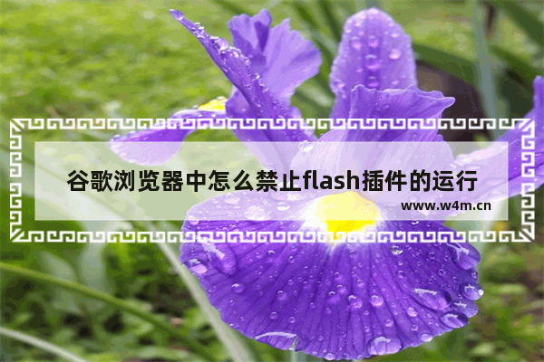 谷歌浏览器中怎么禁止flash插件的运行？禁止flash插件运行操作步骤一览