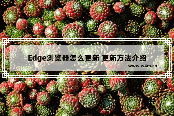 Edge浏览器怎么更新 更新方法介绍