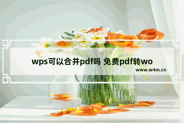 wps可以合并pdf吗 免费pdf转word软件推荐