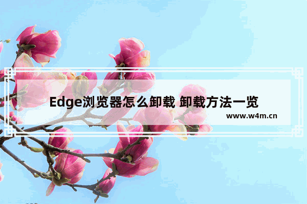 Edge浏览器怎么卸载 卸载方法一览