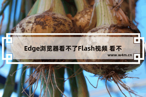 Edge浏览器看不了Flash视频 看不了Flash视频解决方式一览